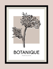 Botanical hand drawn illustration in a poster frame for wall art gallery