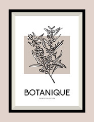 Botanical hand drawn illustration in a poster frame for wall art gallery