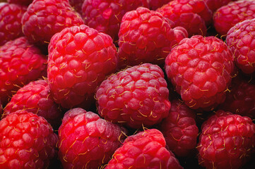 Background of fresh, juicy and ripe raspberries, macro photography. Background of fresh raspberries, close-up. Top view, flat lay. Wallpaper with food