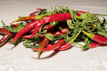 Close up view of a red peppers plant