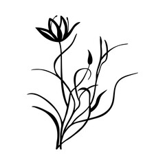 Vector  flowers of hand drawn, plants, leaves. Art floral elements. Use for t-shirt prints, logos, cosmetics and beauty design elements.