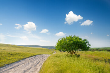 Obraz premium Country path going through a meadow