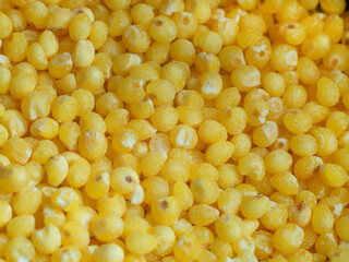 Millet groats close-up top view.