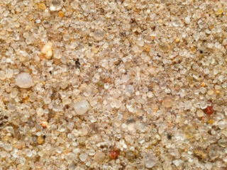 Sea sand close up.