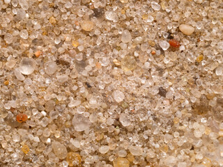 Sea sand close up.