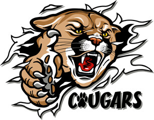 cougars mascot ripping through the background for school, college or league sports