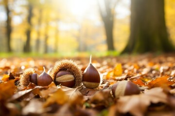fallen chestnuts in the ground of the forest in autumn - Powered by Adobe