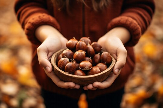 Two Hands Holding A Fistfull Of Chestnuts In Autumn