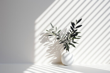 minimalist white background. White potted plant, shadows. 