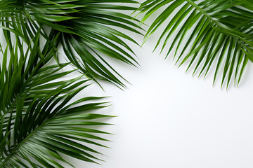 Palm tree leaves create a texture overlay surrounded by fresh green tropical plants on a white background 