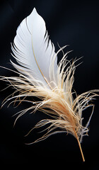 Closeup of white feathers on black background. AI generated