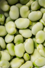 Fresh green fava beans.