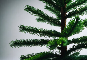 christmas tree on a white background