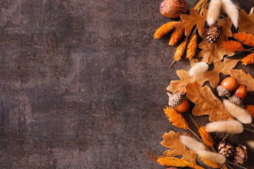Colorful autumn leaves, nuts and grasses. Side border over a rustic dark background. Top down view...
