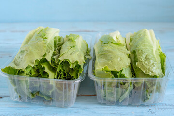 Lettuce leaves on plastic boxes on blue wooden background.
