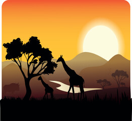 Fototapeta na wymiar giraffe in the sunset