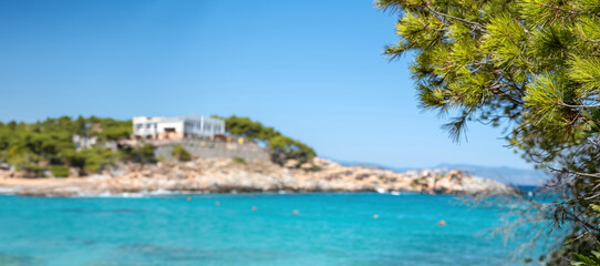 Greece Agistri island Aponisos beach. Blur background clear view of pine tree branch. Banner, space