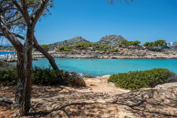 Aponisos beach Agistri island Greece. Rocky beach with pine tree people swim in sea water, sunny day