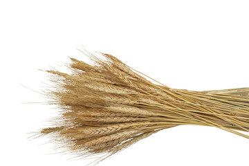 Bunch of wheat ears. Isolate on white. Available PNG