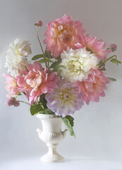 Bouquet of autumn dahlias in white vase. White and pink dahlias. Wall table background, place to copy.Isolated object.
