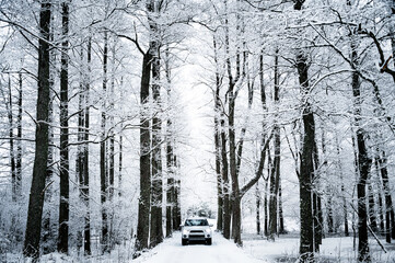 White car on snowy country road