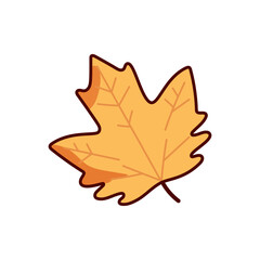 autumn maple leaf vector illustration