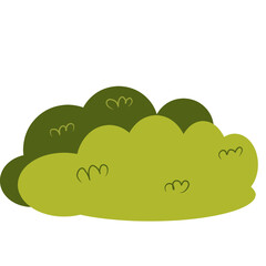 Green bushes.shrub.