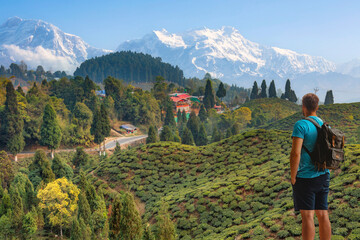 Male tourist looks on at the scenic Himalayan landscape with view of tea plantations and the...