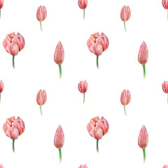 Obraz premium Pink tulips seamless pattern painted in watercolor, realistic botanical hand drawn illustration, background for design, wedding print products, paper, invitations, cards, fabric
