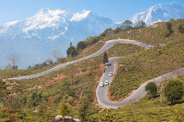 Winding mountain roads with tea plantations on the slopes and view of the Himalaya range at Gumbadara Viewpoint near Tinchuley in the district of Darjeeling, India