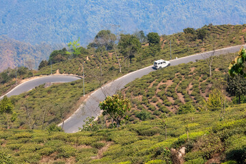 Scenic mountain road winding through tea plantations near Tinchuley at Darjeeling district in West Bengal, India