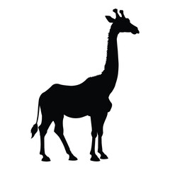 Black Giraffe Silhouette on White Background