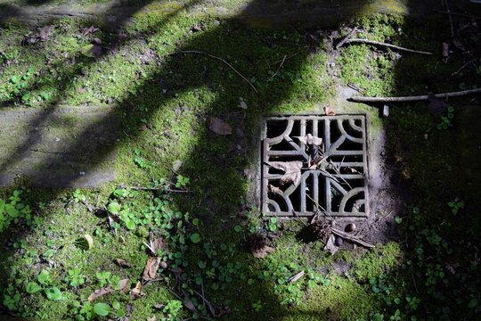 Rejilla del desag&uuml;e pluvial en el jard&iacute;n
