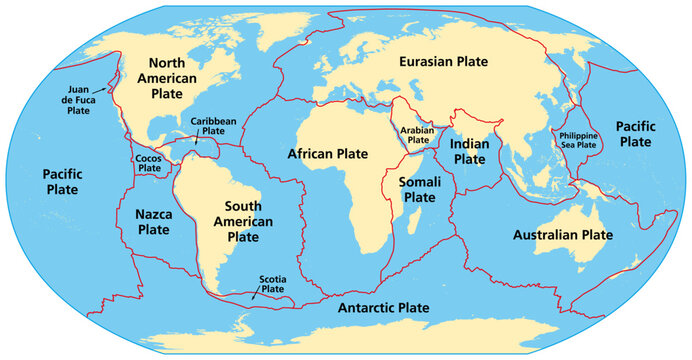 Map of the principal tectonic plates of the Earth. The sixteen major pieces of crust and uppermost mantle of the Earth, called the  lithosphere, and consisting of oceanic and continental crust. Vector