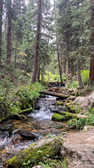 Hiking the countryside in Rocky Mountain National Park