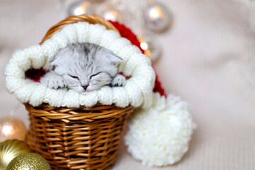 Fototapeta na wymiar Funny kitten wearing red santa's hat sleeps in the basket.