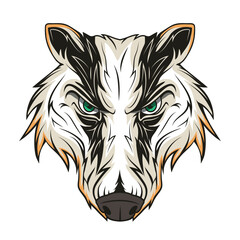 American Badger. Vector illustration of a wild animal. Angry brock