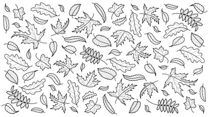 Autumn background with maple, oak and rowan leaves. Background template with flying and falling leaves. Seamless pattern. Isolated black outline on white background. Vector illustration - 646115773