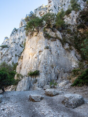 Path in the National Park of the Calanques near Cassis in south of France