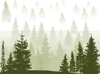 fir dark green forest silhouettes isolated on white