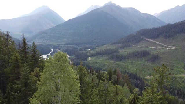 Forest Mountain Valley and Lake Down to Trees Drone Short Clip 4k. Down motion aerial landscape view of the Rocky Mountains and Lake Kinbasket in British Columbia Canada.