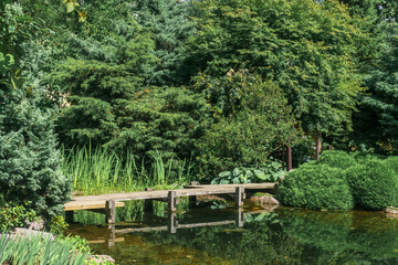 Fototapeta na wymiar zigzag bridge over a pond in japanese garden