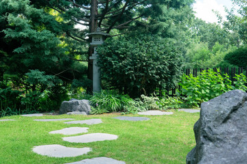 japanese garden landscape with stone lantern under pine tree