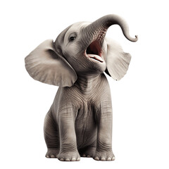 Playful Baby Elephant, isolated on white background

