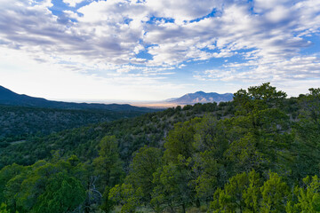 Fototapeta na wymiar Lincoln National Forest, Tularosa Basin. New Mexico