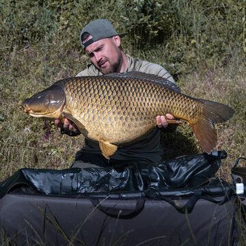men hold fish, carp, carpfishing