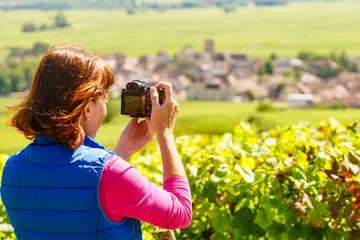 Fototapete Gelb Tourist visit vineyard region, Burgundy in France.