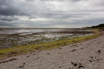 View of the beach at low tide. The ocean has receded very far, leaving a large open space.