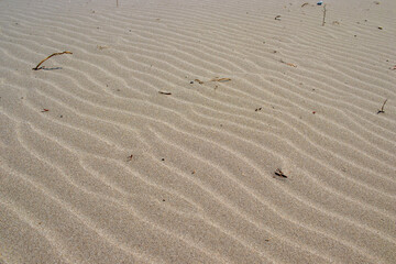 natural sandy beach texture, close-up, background