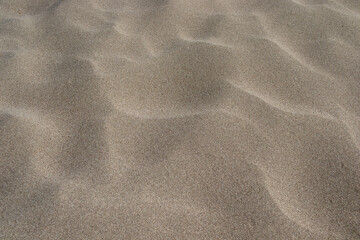 natural sandy beach texture, close-up, background